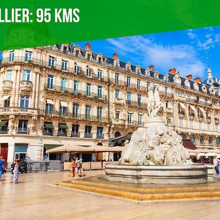La Bulle - Parking Gratuit En Souterrain - 2 Mins Du Palais Des Papes - Clim Ac - Wifi Apartment Avignon Ngoại thất bức ảnh