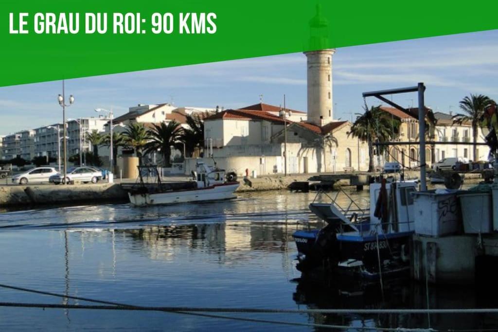 La Bulle - Parking Gratuit En Souterrain - 2 Mins Du Palais Des Papes - Clim Ac - Wifi Apartment Avignon Ngoại thất bức ảnh